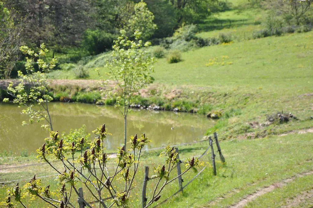 La Bergerie Bed and Breakfast Pollionnay 3*,  Frankrijk